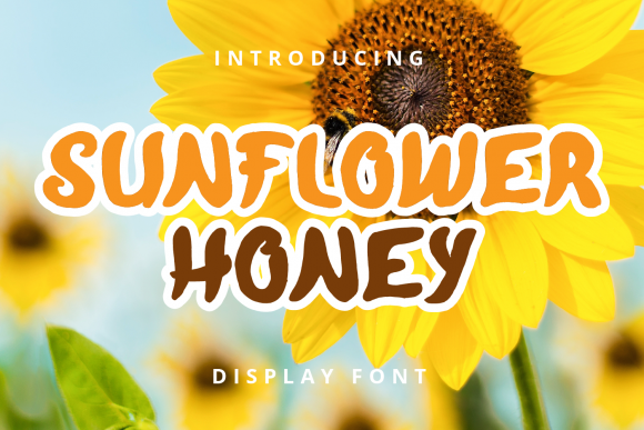 Sunflower Honey: A Playful Display Font for Scroll-Stopping Digital Content
